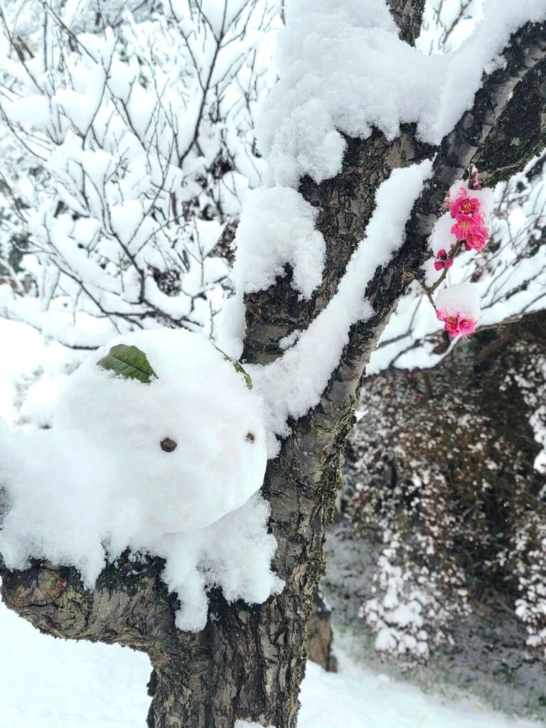 可愛らしいウサギ雪ダルマを井の頭公園にて発見しました♪