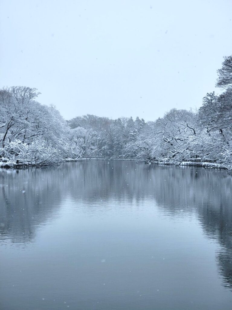 井の頭公園駅側の井の頭池の雪景色
